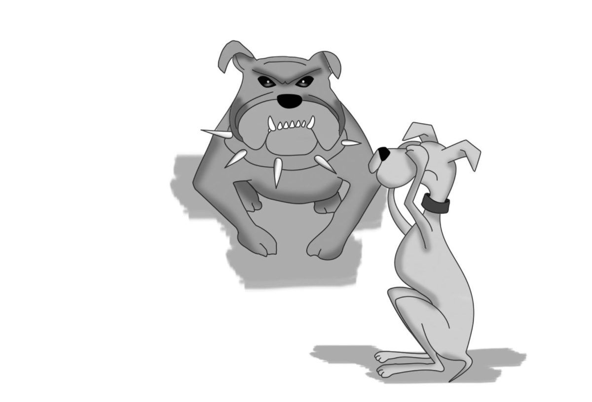 psycodog int e1518432537312