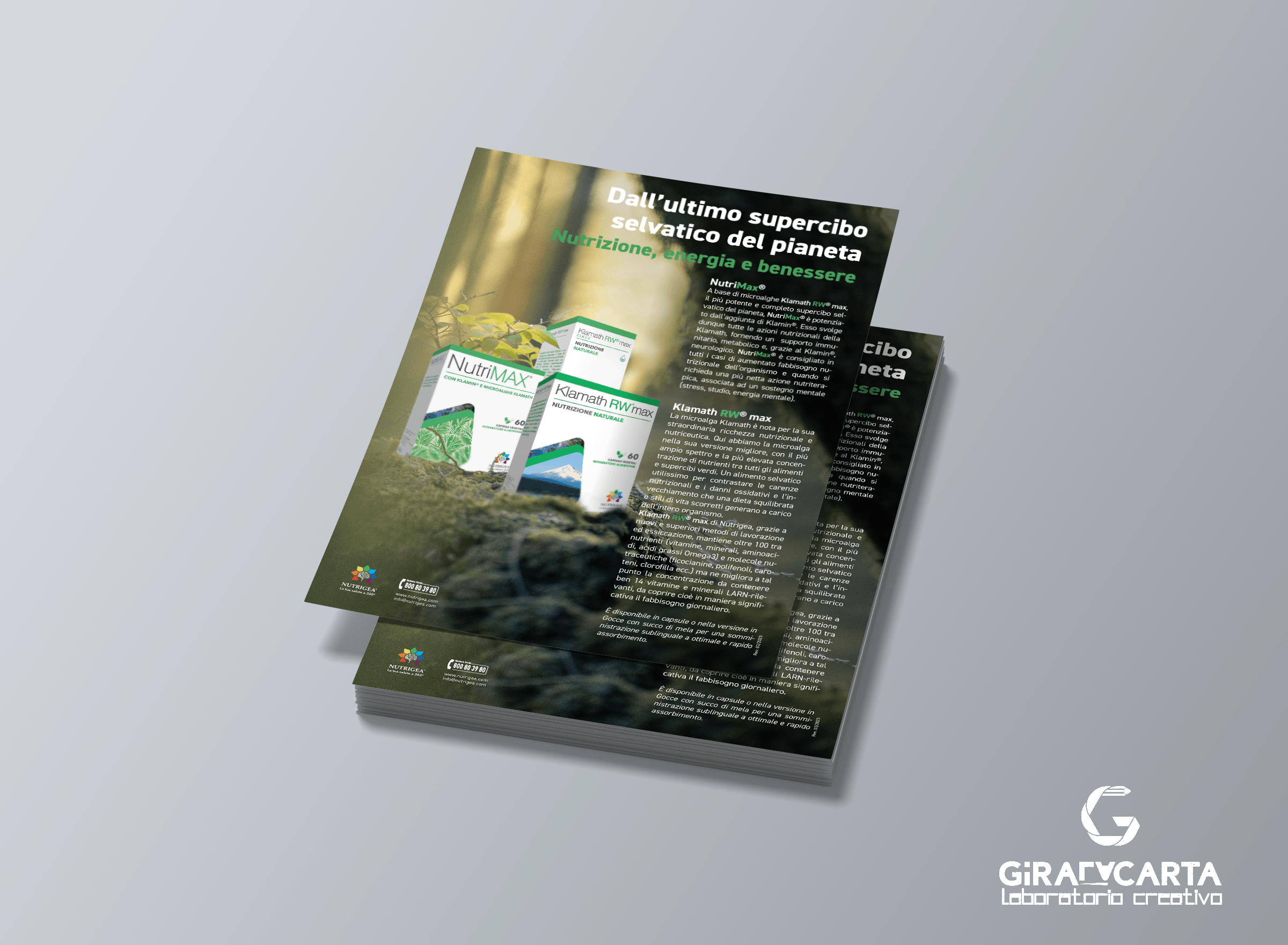 Nutrigea flyer